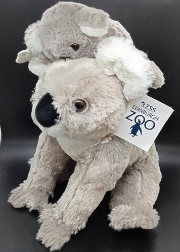 Koala bear with joey - bear, 12"