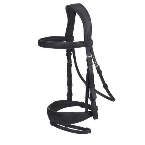 Gfs transition combi dressage - transition,