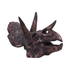 Triceratops dinosaur skull - dinosaur,
