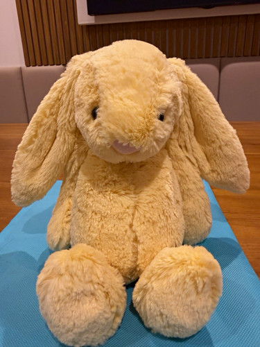 Rare retired jellycat - &,