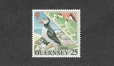 Birds puffin herm - birds-puffin,
