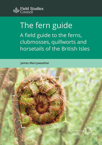The fern guide field - guide:,