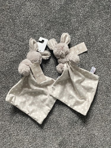 Next bunny rabbit baby - bunny,
