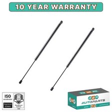 Tailgate boot gas - 2x, struts