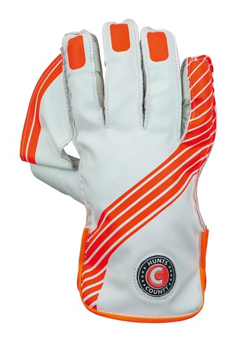 Hunts county envy wicket - hunts,