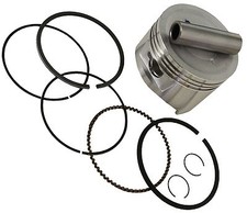 Piston & Rings Standard Fits