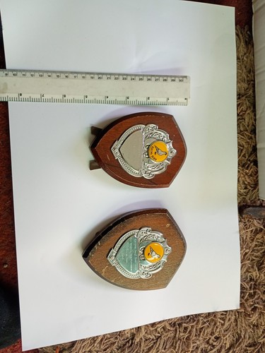 Pigeon racing shields - pigeon,
