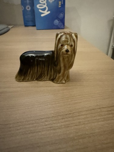 Wade whimsie yorkshire terrier - whimsie,