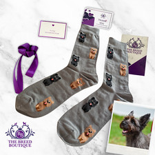 CAIRN TERRIER SOCKS UNISEX ONE