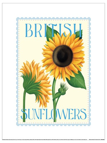 Tall boy prints - boy, british
