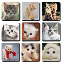 Cute Kitten Fridge Magnets -