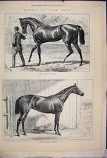 Original Old Antique Print 1878 Epsom Races Sefton Derby Jannette Oaks Horse