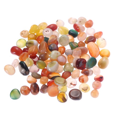 500 pond gravel fish - g,
