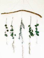 Birch Natural Branch Stick For