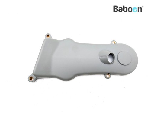 Cam chain cover - cam, ducati