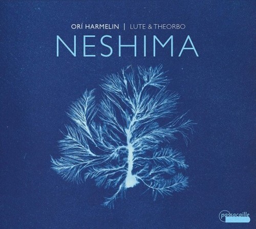 Neshima lute theorbo - -,