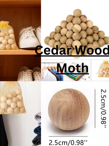 Pcscedar wood moth - 80,