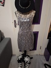 Lipsy Silver Dress