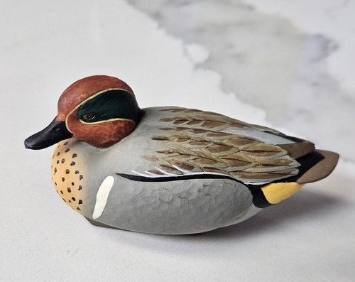 Jett brunet green winged teal - green-winged,