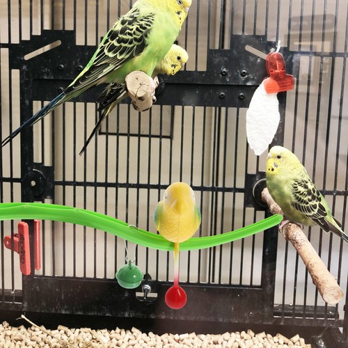 Plastic bird perch toy stand - bird,