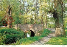 Picture Postcard-:Eastcote