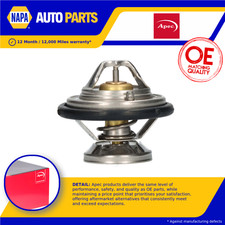 Coolant Thermostat fits