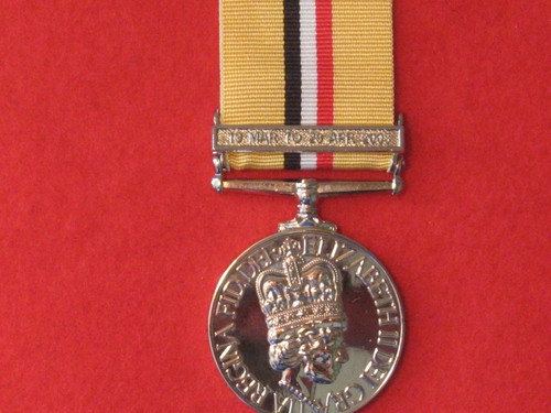 Full size telic iraq - size, medal