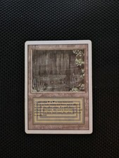 MTG  Revised Bayou Dual Land