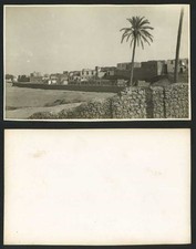 Egypt Old Real Photo Card