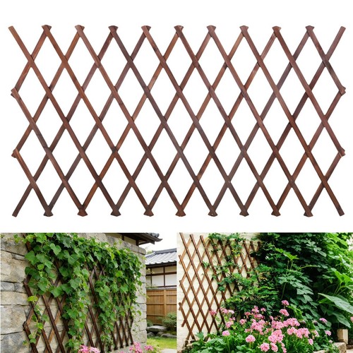 Expandable garden trellis - garden, 38"