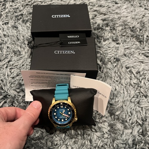 Citizen promaster dive - promaster,