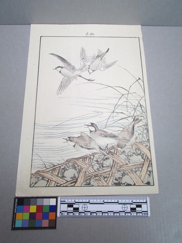 Woodblock print - woodblock,