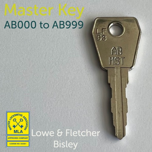 Lowe and fletcher series - and, ab