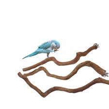 1X 30cm Wooden Parrot Bird