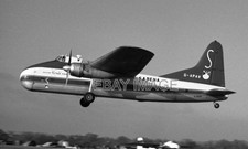 PHOTO  BRISTOL 170 SUPERFREIGHTER 32 G-APAV BUAF IN SABENA  LIVERY SOUTHEND UK