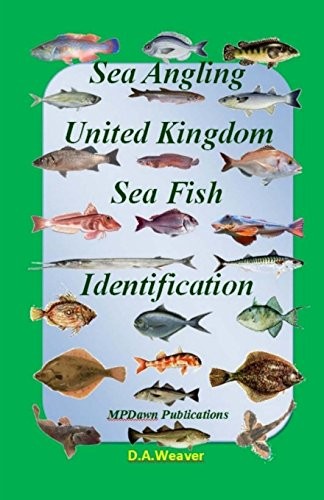 Sea angling fish - angling,