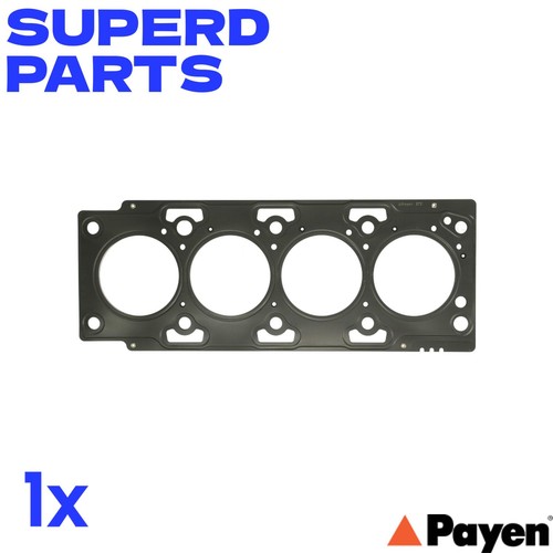 Payen ah5700 cylinder - payen,