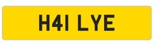 Hayley Number Plate Haley Hailey Haylee H41 LYE DVLA Rare Xmas Gift Investment