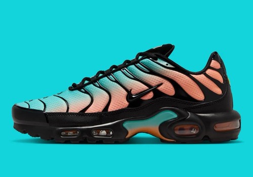 Nike air max plus south - air,