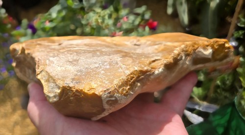 Prehistoric lower middle - prehistoric, /