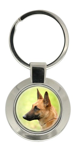 Belgian shepherd dog - shepherd,