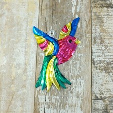 Mexican Tin Tropical Bird