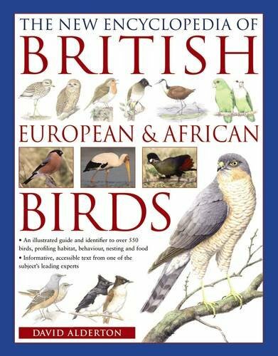 British european and african - british,,