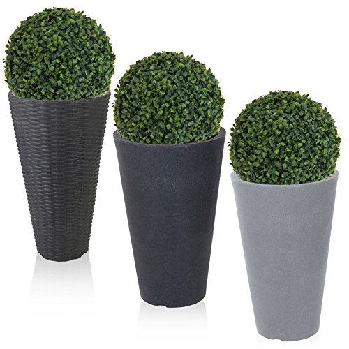 Round plant flower pot - plant,