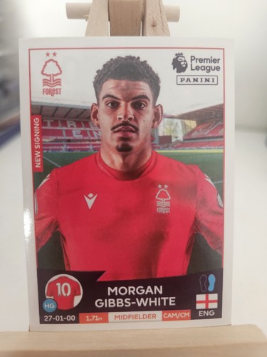 Panini premier league - league, 2023