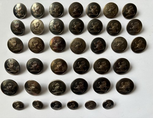 Victorian livery buttons - victorian,
