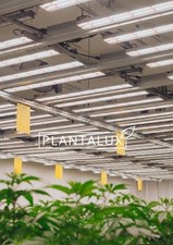 Plantalux 640W SMD LED Lamp