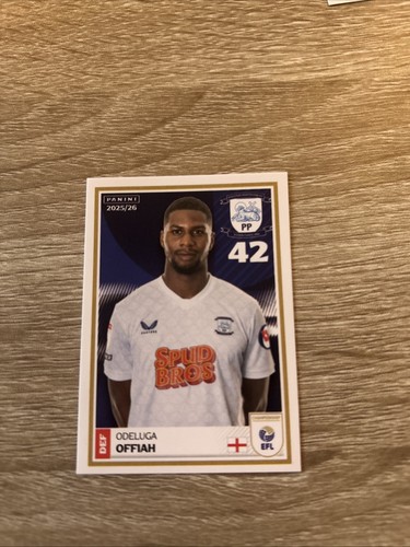 Panini efl 2025 - 2025/26, official