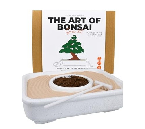 The art bonsai - art,