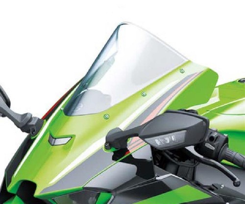 Kawasaki ninja 10rr - kawasaki,